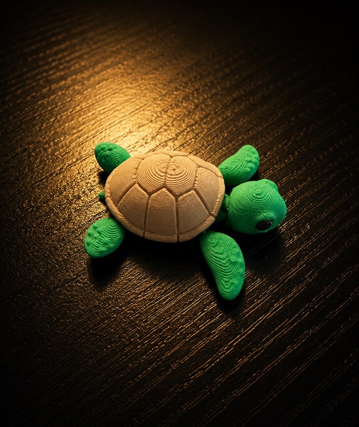 Flexi Turtle