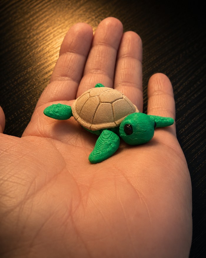 Flexi Turtle - photo 2 of 2